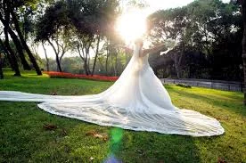 Starex Erol Fotoğrafçılık