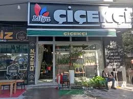 LİLYA ÇİÇEKÇİLİK