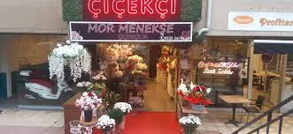 Mor Menekşe Çiçekçilik Bakırköy