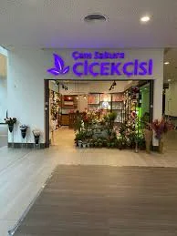 Çam Sakura Çiçekçisi