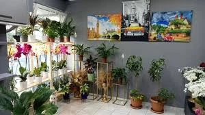 Şile Çiçek Dünyası