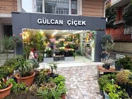Çiçekçi Gülcan Çiçekçilik