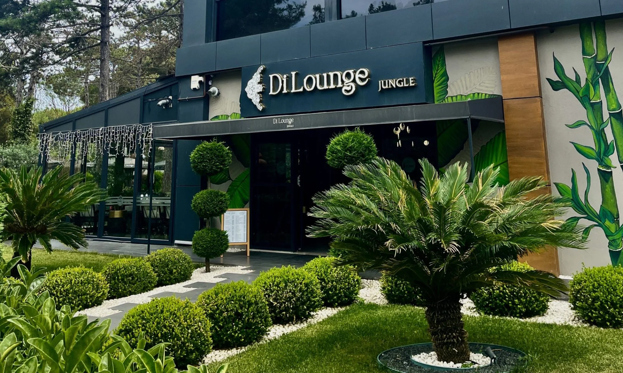 Di Lounge Jungle